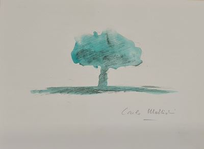 Albero