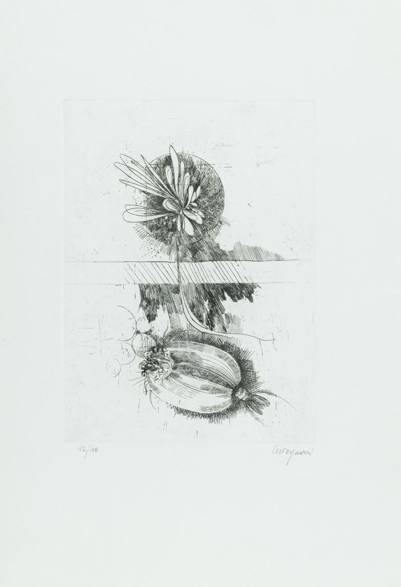 M. Tognoni - Lotto Unico di Due Opere