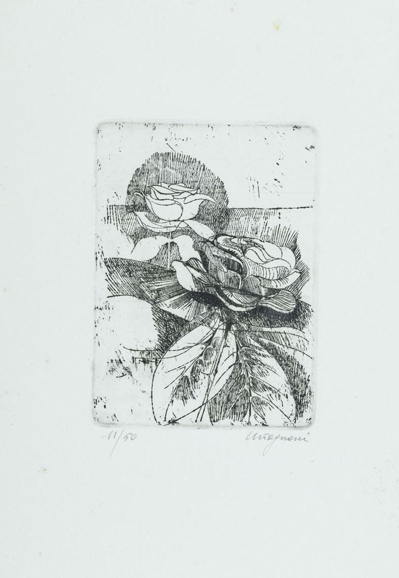 Giancarlo Tognoni - Rose