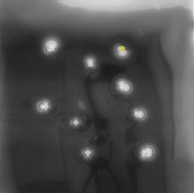 N9 Spari di Pistola Cal. 45