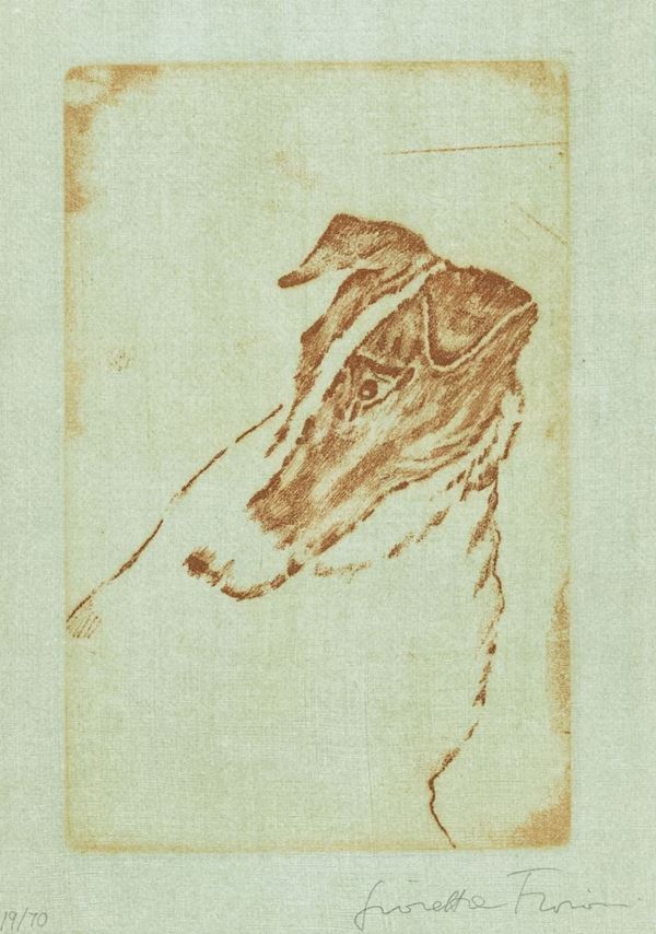 Giosetta Fioroni : Cane  - Acquaforte di cm. 18,5x12 - Asta Arte Moderna e Contemporanea, '800 e'900 - Fabiani Arte