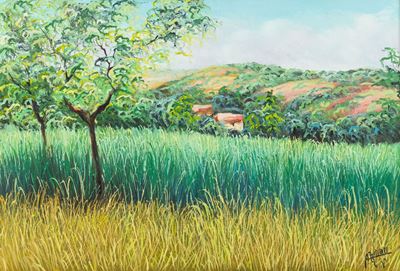 Paesaggio Calabrese
