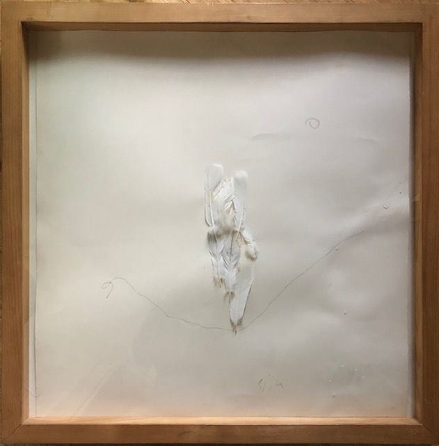 Pier Paolo Calzolari - Senza Titolo