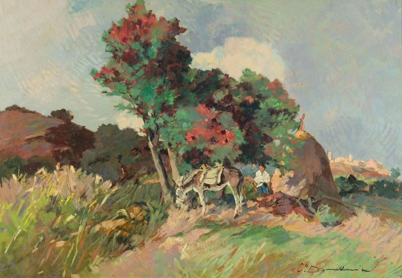 Carlo Domenici - Olenadro in Fiore