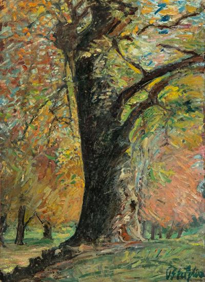 Albero
