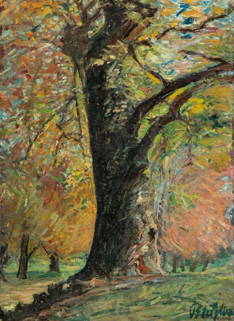 Paulo Ghiglia - Albero
