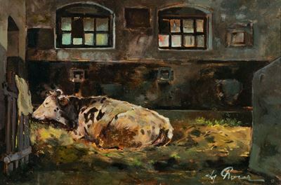 Mucca Olandese