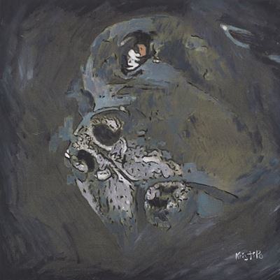 Il Rirtatto di Nanuk