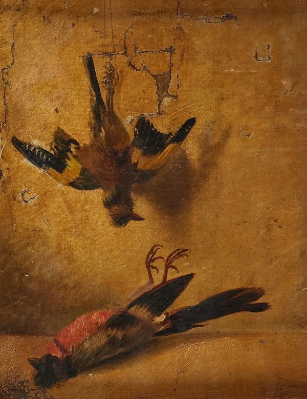 Anonimo : Cardellino e pettirosso  (1870)  - Olio su tela riportata su tavola - Asta  Arte Moderna e Contemporanea,  '800  e  '900 - Fabiani Arte