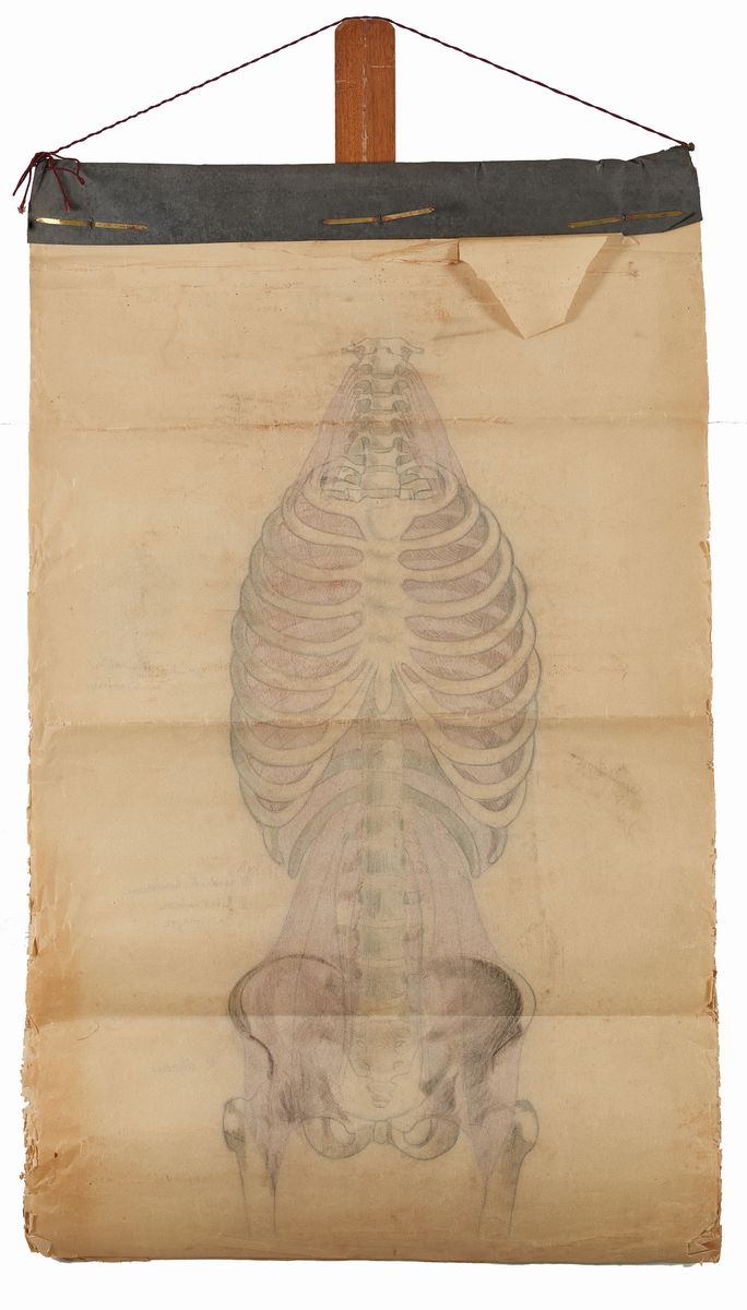 Rougena Zatkova - Tavole Policrome del Corpo (torso)