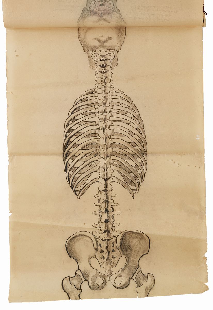 Rougena Zatkova - Tavole Policrome del Corpo (torso)