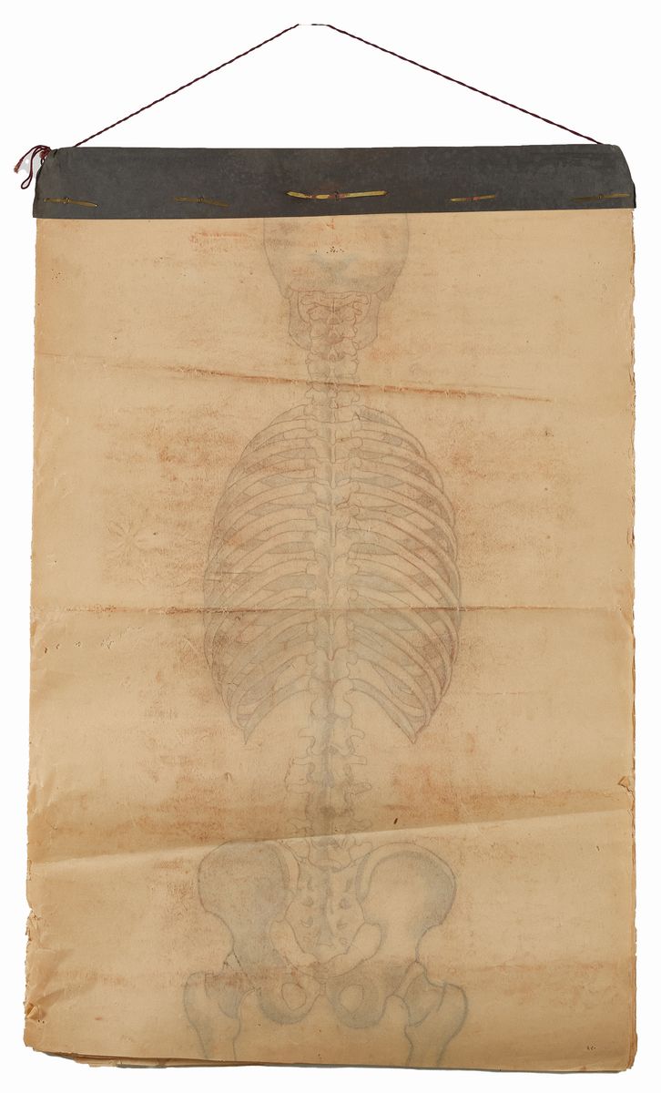Rougena Zatkova - Tavole Policrome del Corpo (torso)