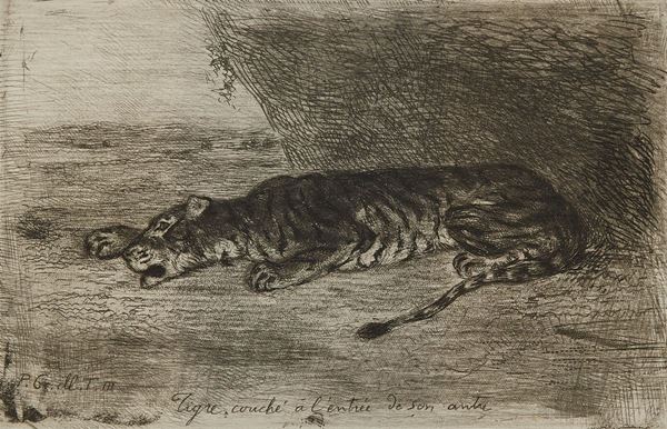 Eugen Delacroix : Tigre couch&#233; &#224; l&#39;entr&#233;e de son antre  - Acquaforte di cm. 10x15, su carta di cm. 25x33 - Asta Arte Moderna e Contemporanea, '800 - '900 e Grafica Internazionale - Fabiani Arte