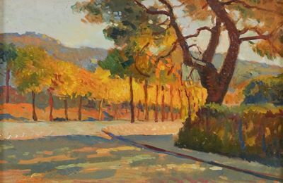 Montecatini: le Panteraie