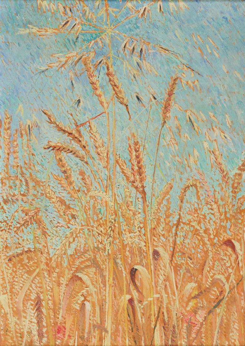 Valentino Ghiglia - Spighe di Grano