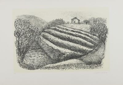 Paesaggio Campestre