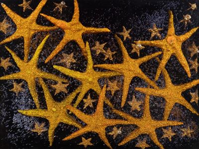 Star Frozen
