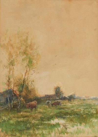Mucche al Pascolo