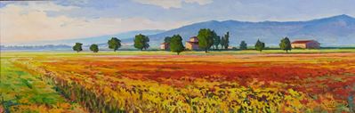 Veduta di Campi con Case