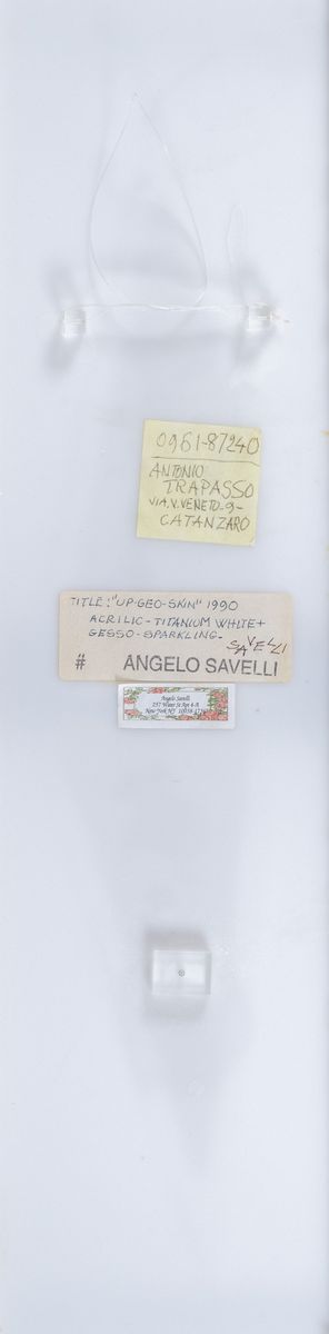 Angelo Savelli - Up-geo-skin