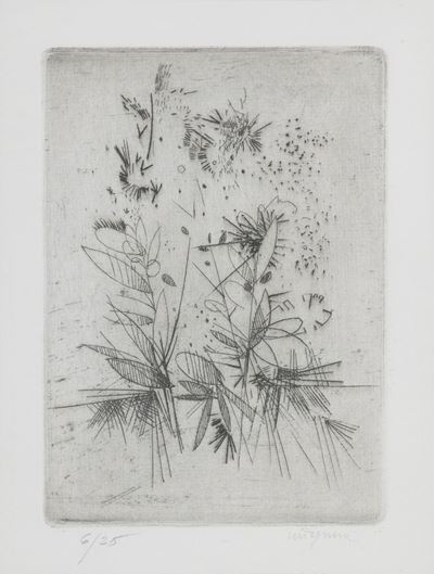Fiori