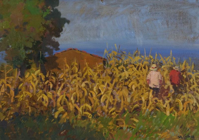 Angiolo Volpe - Campo di Spannocchie