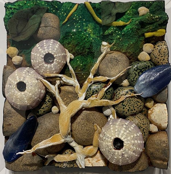 Piero Gilardi : Spiaggetta bretone  (2004)  - Poliuretano in teca di plexiglas - Asta Asta di Arte Moderna e Contemporanea '800 e '900 - Fabiani Arte