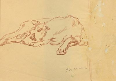 Studio di Cane