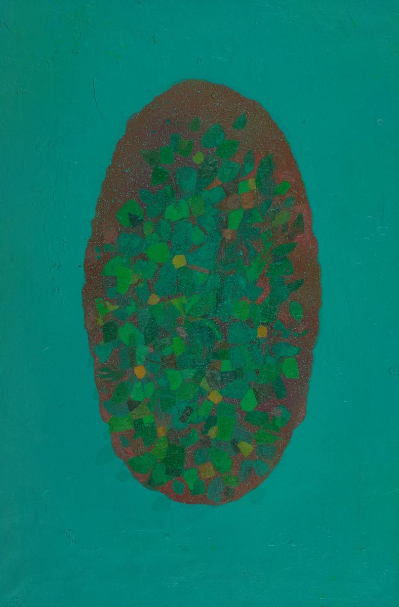 Frank Rinaldo Burattin - Chi Non Ama il Clematis?