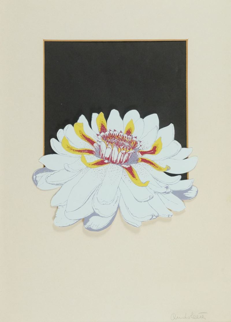 Fernando Andolcetti - Fiore