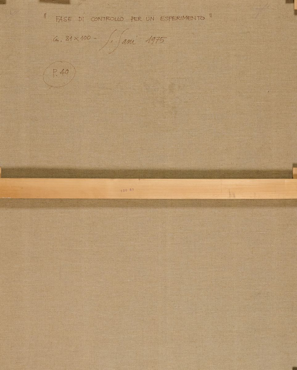 Fase di controllo per un esperimento