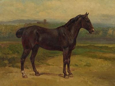 Cavallo