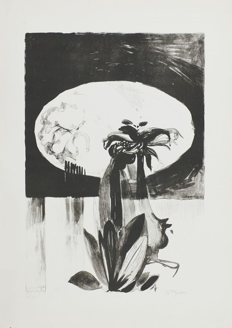 Giancarlo Tognoni - Fiori