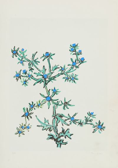 Fiori
