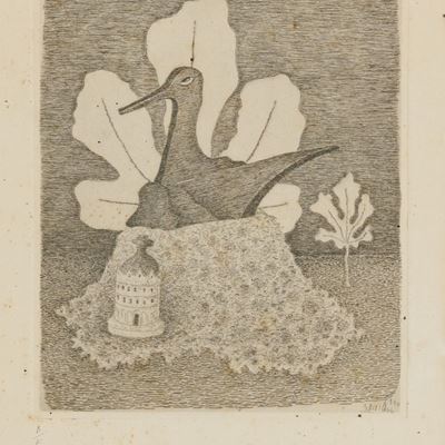 Stampa e Foglia