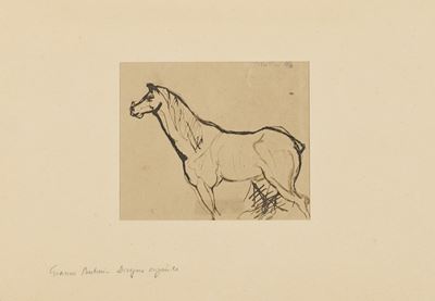 Cavallo