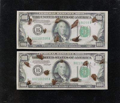 Money Vs Nature