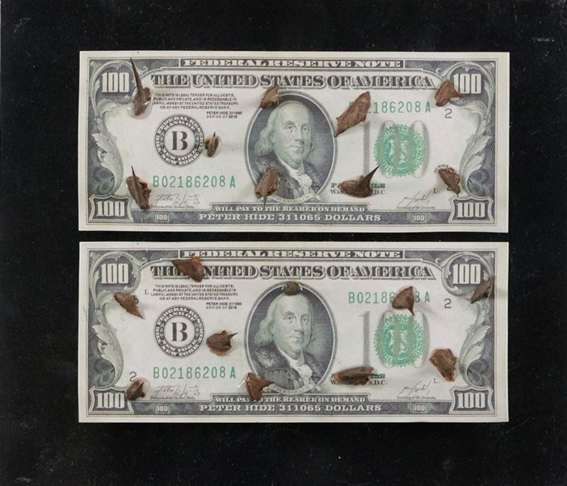 Peter Hide - Money Vs Nature