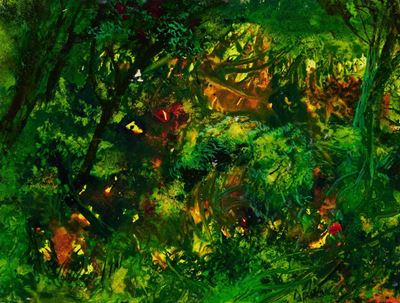Forest Floor