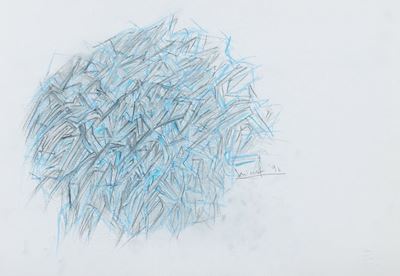 Reticolo