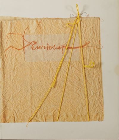 Curiosape - Libro d'Artista con Ricamo, 2002