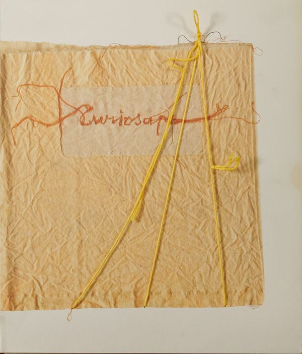 Maria Lai - Curiosape