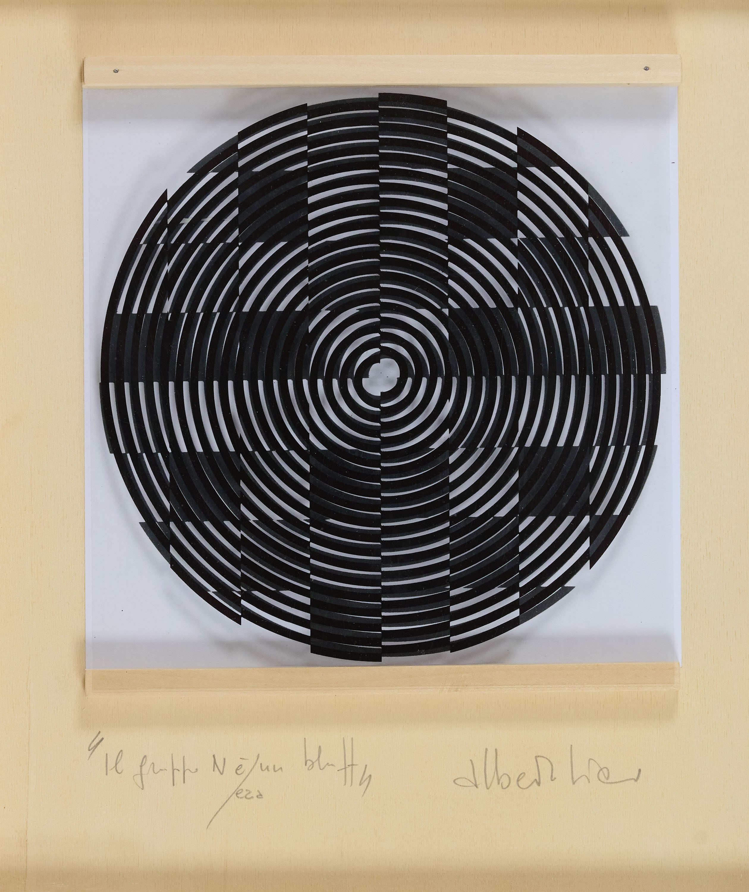 Il gruppo N era un bluff