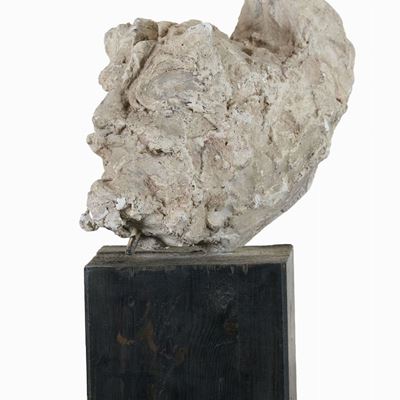 Testa di Fauno
