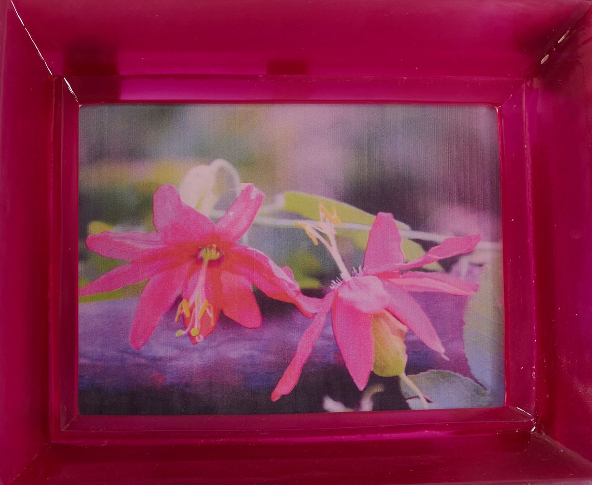 Chiara Dynys - Poisened Flower