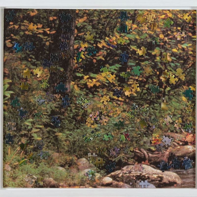 Puzzle di puzzle n° 19