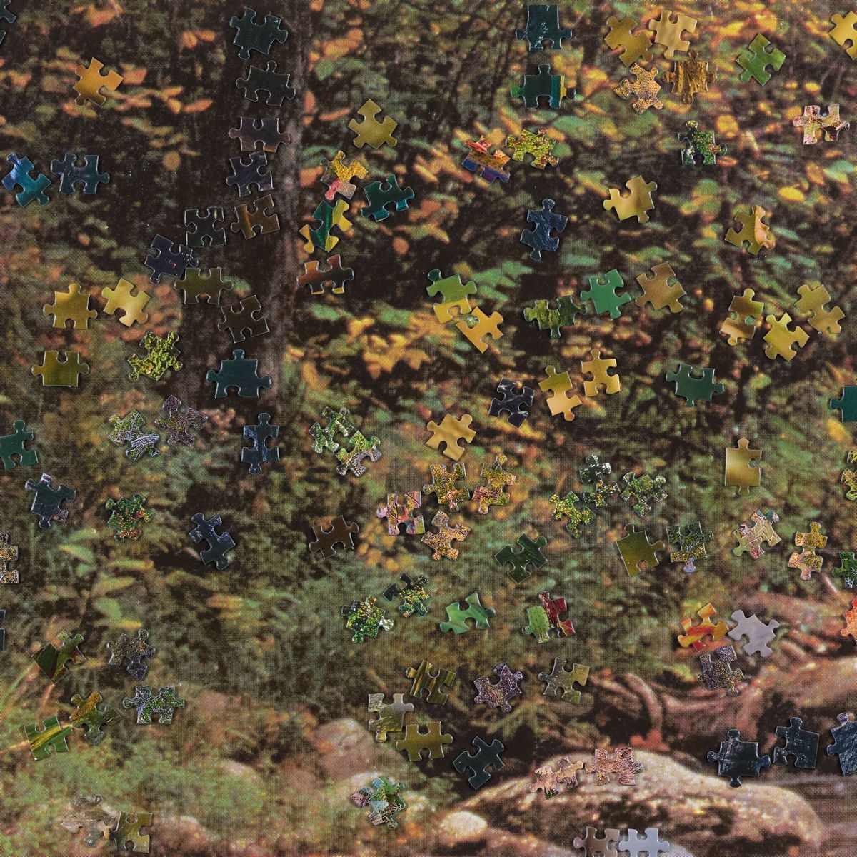 Puzzle di puzzle n° 19