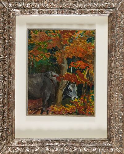 Bosco Silano con Mucca