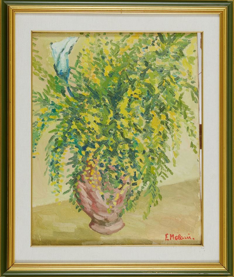 Francesco Melani - Mimosa