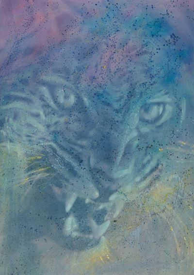 Tigre